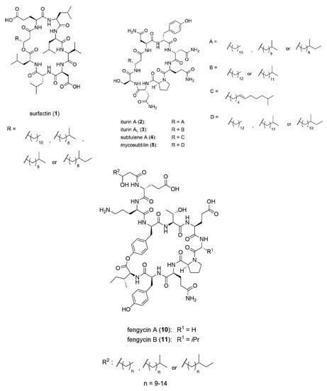 Microbiology Research, Vol. 13, Pages 972-984: Bacillus Metabolites: Compounds, Identification and Anti-Candida albicans Mechanisms