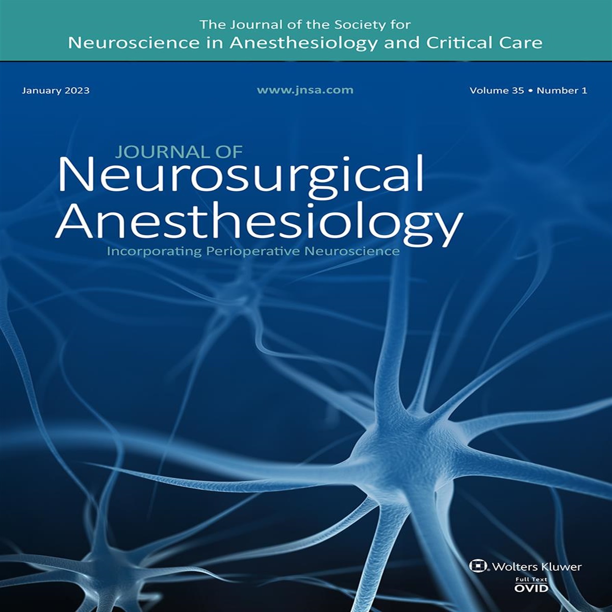 Impact of Anesthetic Exposures on the Neurocognitive Profiles of Pediatric Brain Tumor Survivors: A New Direction for Research and Multidisciplinary Collaboration