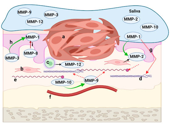 CIMB, Vol. 44, Pages 6306-6322: The Use of Salivary Levels of Matrix Metalloproteinases as an Adjuvant Method in the Early Diagnosis of Oral Squamous Cell Carcinoma: A Narrative Literature Review