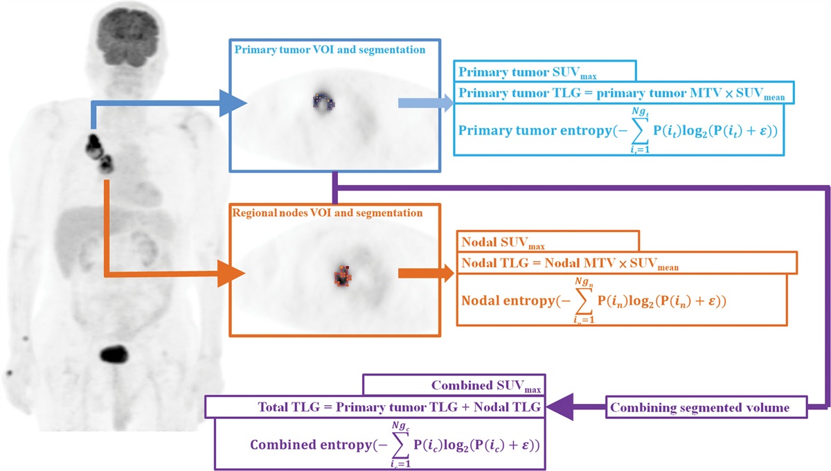 The combined tumor-nodal glycolytic entropy improves survival stratification in nonsmall cell lung cancer with locoregional disease