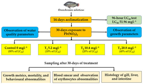 Toxics, Vol. 10, Pages 793: Assessment of Lead (Pb) Toxicity in Juvenile Nile Tilapia, Oreochromis niloticus—Growth, Behaviour, Erythrocytes Abnormalities, and Histological Alterations in Vital Organs