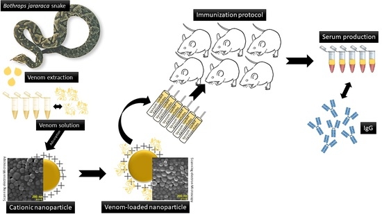 Toxins, Vol. 14, Pages 888: Cationic PLGA Nanoparticle Formulations as Biocompatible Immunoadjuvant for Serum Production and Immune Response against Bothrops jararaca Venom