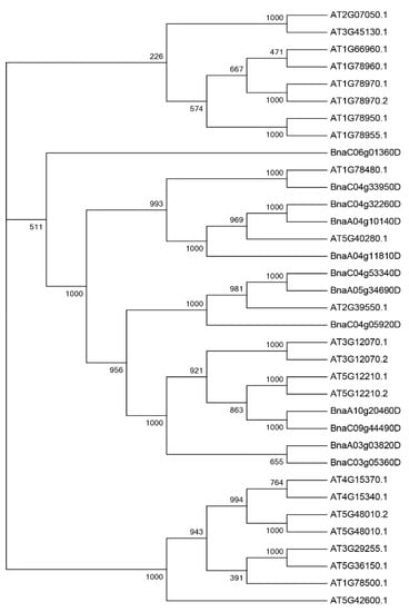 CIMB, Vol. 44, Pages 6385-6396: Genome-Wide Identification of Brassica napus PEN1-LIKE Genes and Their Expression Profiling in Insect-Susceptible and Resistant Cultivars