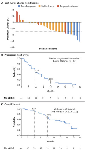Adagrasib with or without Cetuximab in Colorectal Cancer with Mutated KRAS G12C