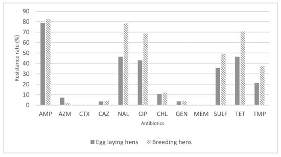 Antibiotics, Vol. 12, Pages 20: Evaluation of Antimicrobial Resistance of Different Phylogroups of Escherichia coli Isolates from Feces of Breeding and Laying Hens