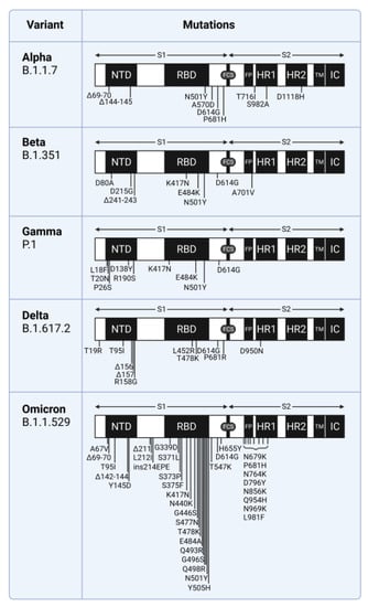 Viruses, Vol. 15, Pages 67: The Elusive Coreceptors for the SARS-CoV-2 Spike Protein