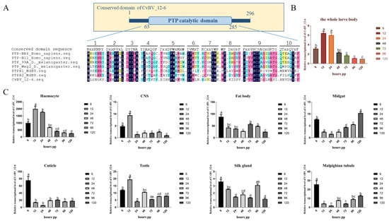 Viruses, Vol. 15, Pages 56: A Polydnavirus Protein Tyrosine Phosphatase Negatively Regulates the Host Phenoloxidase Pathway