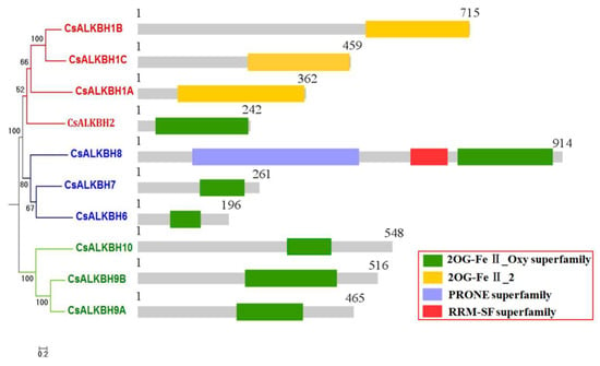 CIMB, Vol. 45, Pages 122-133: Genome-Wide Identification and Characterization of the AlkB Gene Family in Sweet Orange (Citrus sinensis)