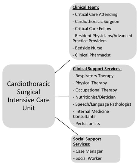 Medicina, Vol. 59, Pages 47: The Future of Cardiothoracic Surgical Critical Care Medicine as a Medical Science: A Call to Action