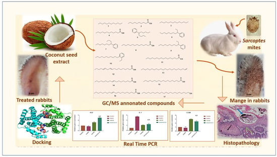 Antibiotics, Vol. 12, Pages 43: Scabicidal Potential of Coconut Seed Extract in Rabbits via Downregulating Inflammatory/Immune Cross Talk: A Comprehensive Phytochemical/GC-MS and In Silico Proof