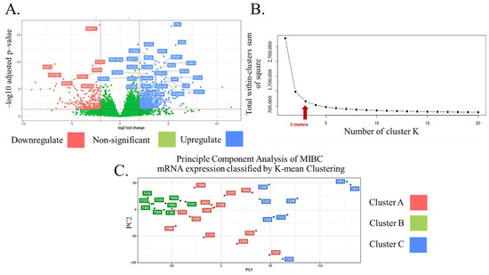 Biomedicines, Vol. 11, Pages 69: Molecular Subtyping in Muscle-Invasive Bladder Cancer on Predicting Survival and Response of Treatment