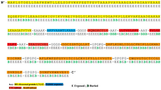 Vaccines, Vol. 11, Pages 61: An Immunoinformatics Approach to Design a Potent Multi-Epitope Vaccine against Asia-1 Genotype of Crimean–Congo Haemorrhagic Fever Virus Using the Structural Glycoproteins as a Target