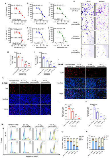 Cancers, Vol. 15, Pages 172: Anti-Anaplastic Thyroid Cancer (ATC) Effects and Mechanisms of PLX3397 (Pexidartinib), a Multi-Targeted Tyrosine Kinase Inhibitor (TKI)