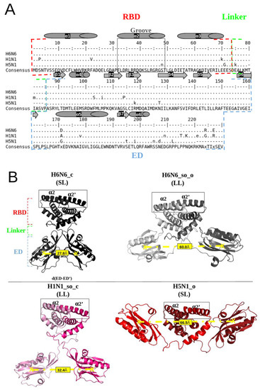 Biomolecules, Vol. 13, Pages 64: Druggable Pockets at the RNA Interface Region of Influenza A Virus NS1 Protein Are Conserved across Sequence Variants from Distinct Subtypes