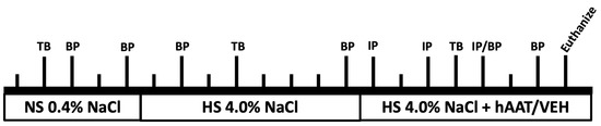 Biomolecules, Vol. 13, Pages 66: Human Alpha-1 Antitrypsin Attenuates ENaC and MARCKS and Lowers Blood Pressure in Hypertensive Diabetic db/db Mice