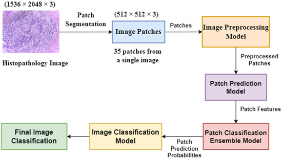 Diagnostics, Vol. 13, Pages 126: A Multi-Stage Approach to Breast Cancer Classification Using Histopathology Images