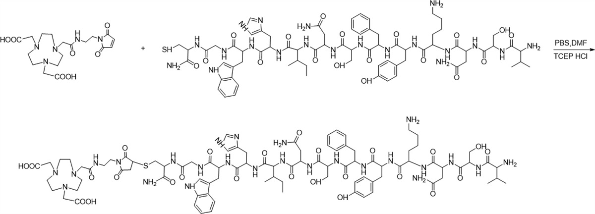 A novel urokinase plasminogen activator receptor-targeted peptide-based probe for in-vivo molecular imaging of glioblastoma