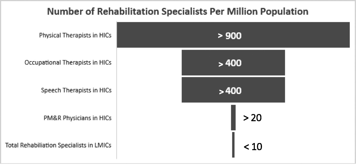 Stroke Rehabilitation in Low- and Middle-Income Countries: Challenges and Opportunities