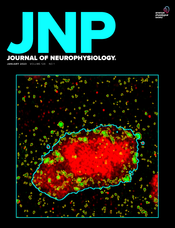 Serotonergic current responses of neurons in rat oculomotor neural integrators