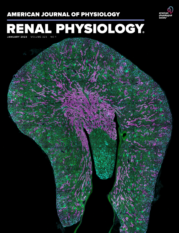 Therapeutic effects of KCC2 chloride transporter activation on detrusor overactivity in mice with spinal cord injury