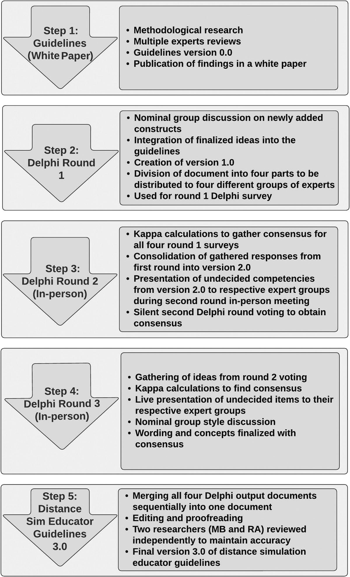 Development of Distance Simulation Educator Guidelines in Healthcare: A Delphi Method Application