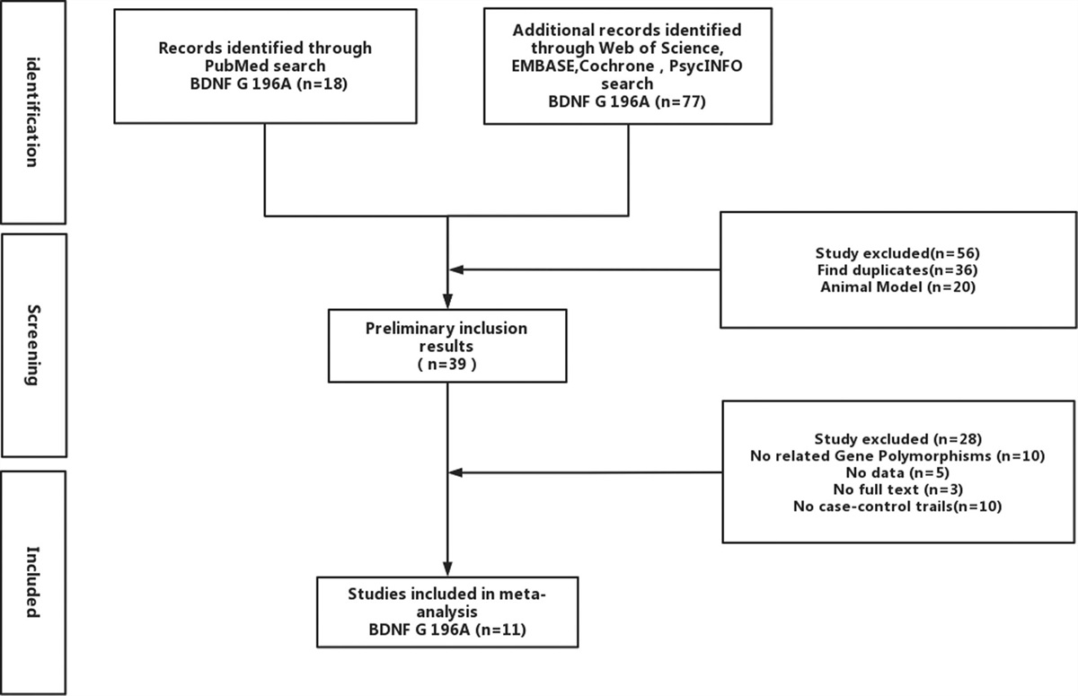 Pathoclinical associations between panic disorders and the brain-derived neurotrophic factor Val66Met polymorphism: an updated meta-analysis