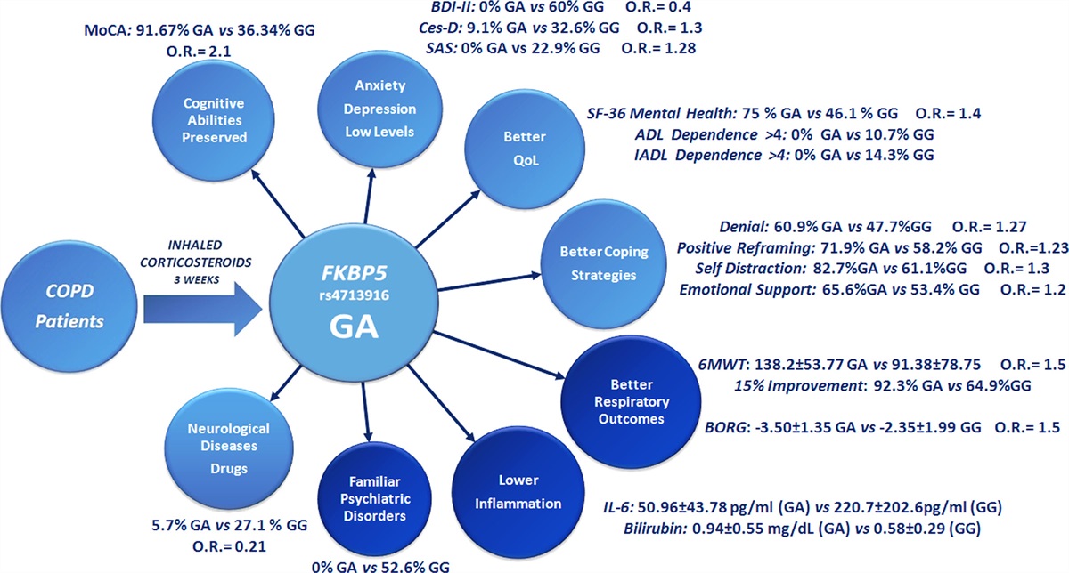 Psycho-cognitive assessment and quality of life in older adults with chronic obstructive pulmonary disease-carrying the rs4713916 gene polymorphism (G/A) of gene FKBP5 and response to pulmonary rehabilitation: a proof of concept study