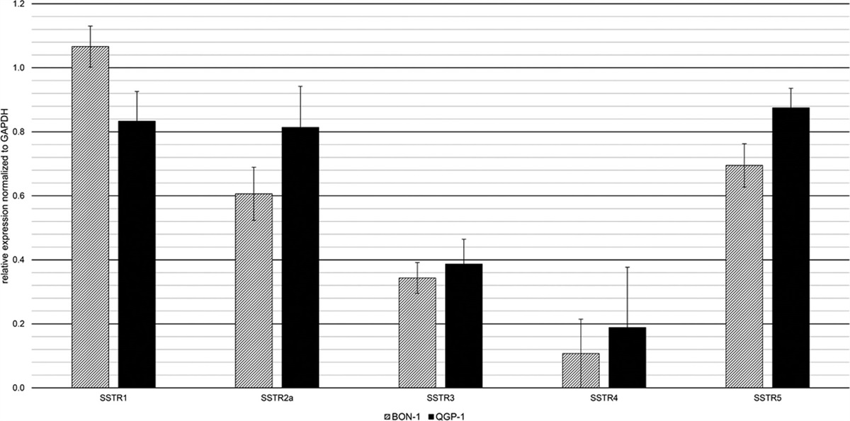 Wnt/β-catenin modulating drugs regulate somatostatin receptor expression and internalization of radiolabelled octreotide in neuroendocrine tumor cells