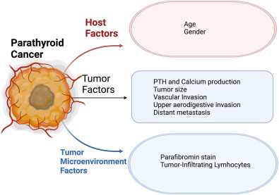 A Nomogram for Relapse/Death and Contemplating Adjuvant Therapy for Parathyroid Carcinoma