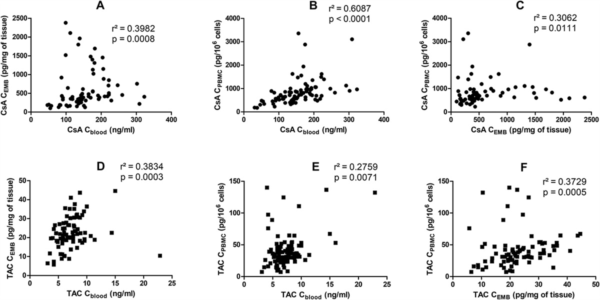 Blood, Cellular, and Tissular Calcineurin Inhibitors Pharmacokinetic–Pharmacodynamic Relationship in Heart Transplant Recipients: The INTRACAR Study