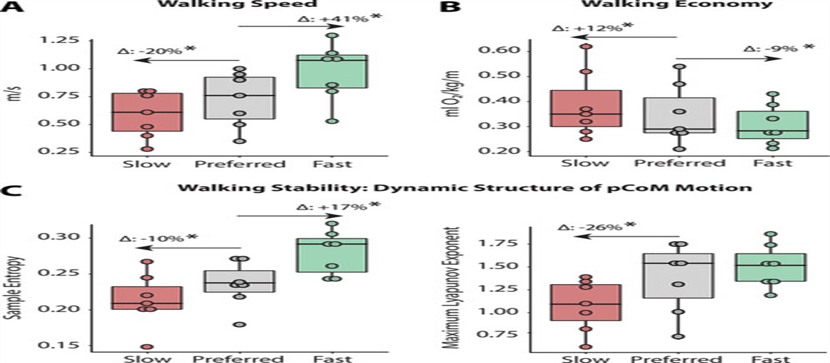 The Interplay Between Walking Speed, Economy, and Stability After Stroke