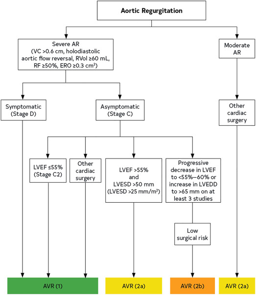 Aortic Regurgitation and Heart Failure