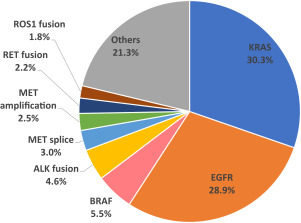 The Emerging Role of Radiotherapy in Oligoprogressive Non-Small Cell Lung Cancer