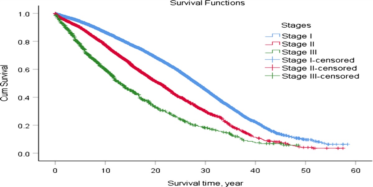 Survival and Disease Burden Analysis of Occupational Pneumoconiosis From 1956 to 2021 in Jiangsu Province
