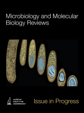 Generation and Repair of Postreplication Gaps in Escherichia coli