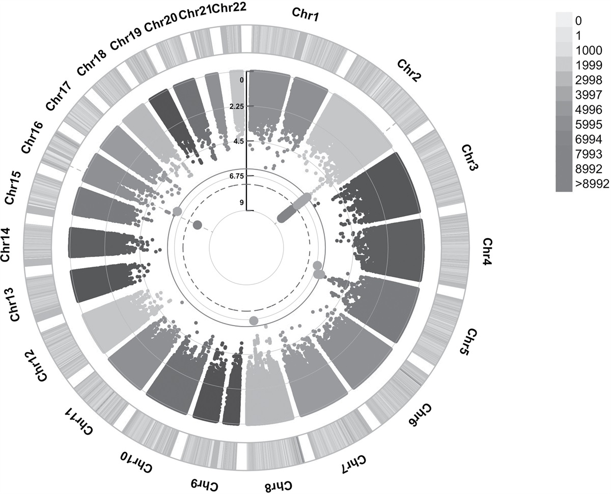 Genome-wide by environment interaction studies of maternal smoking and educational score in UK biobank