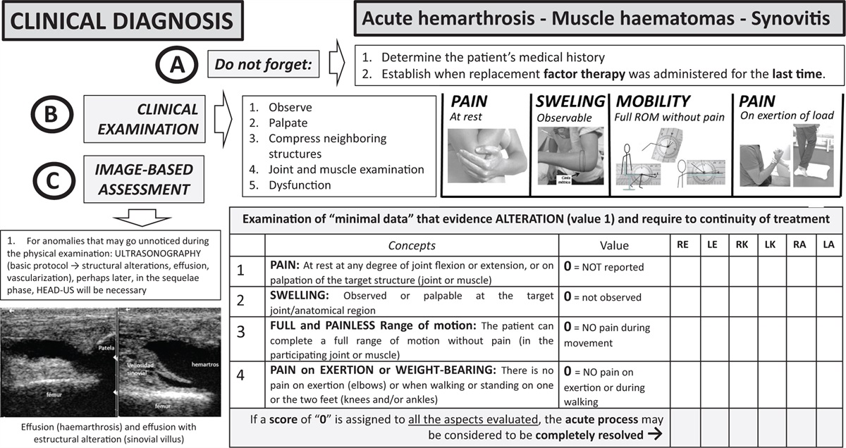 Haemophilic arthropathy: basic protocols for clinical examination and imaging