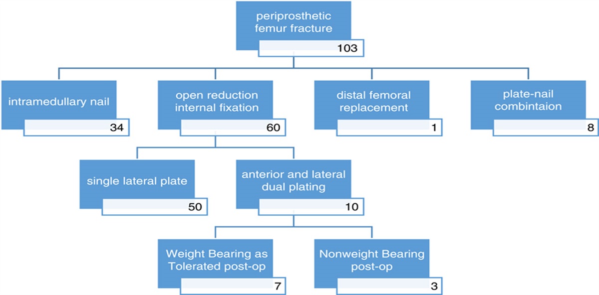 Immediate Weight-Bearing Following Biplanar Plating of Periprosthetic Femoral Fractures