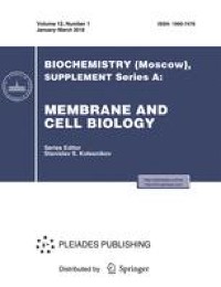 Benzimidazole Derivative NS1619 Inhibits Functioning of Mitochondria Isolated from Mouse Skeletal Muscle
