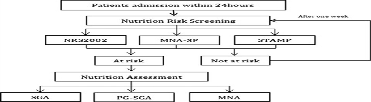 The Practice of Nutrition Risk Screening, Nutrition Status Assessment, and Nutrition Support Action (NRASA) in Hospitalized Patients
