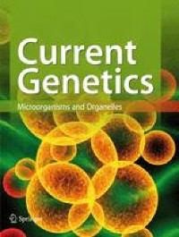 TOF1 and RRM3 reveal a link between gene silencing and the pausing of replication forks