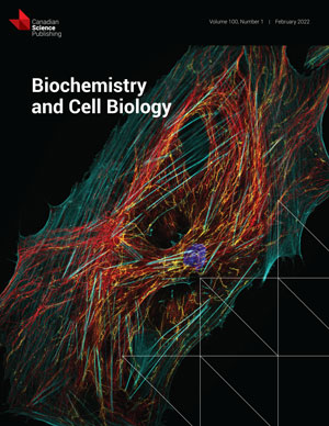 Targeting PTGES/PGE2 axis enhances sensitivity of colorectal cancer cells to 5-fluorouracil