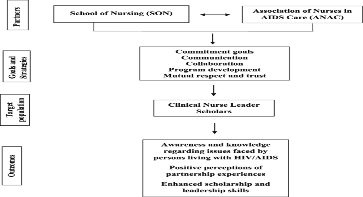 Development and Implementation of an Academic and Professional Nursing Organization Partnership to Enhance Leadership Skills and Knowledge About HIV-Related Nursing Care Among Diverse, Prelicensure, Clinical Nurse Leader Scholars