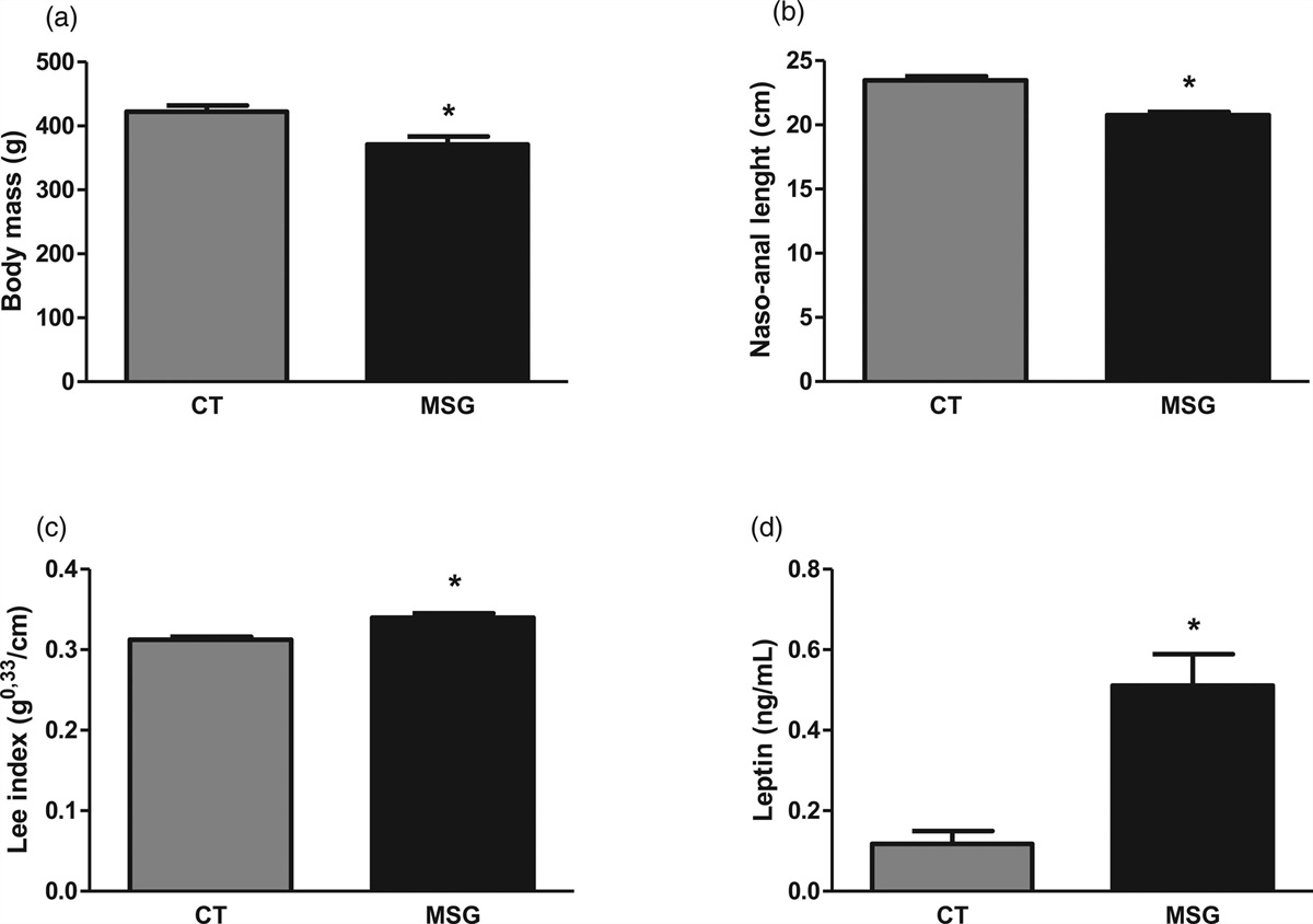 The M1-muscarinic acetylcholine receptor subtype may play a role in learning and memory performance in the hippocampus of neonatal monosodium glutamate-obese rats