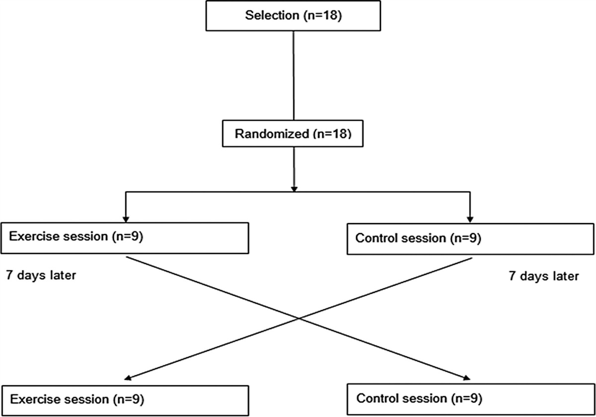 Impact of dynamic explosive resistance exercise with elastic bands on pulse pressure in hypertensive older adults: a randomized crossover study
