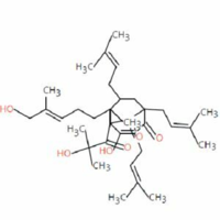 ﻿In silico study of the toxicity of hyperforin and its metabolites