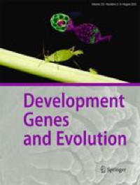 Expression of 20 SCPP genes during tooth and bone mineralization in Senegal bichir