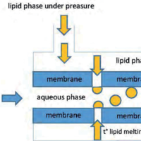 ﻿Technological strategies for the preparation of lipid nanoparticles: an updated review