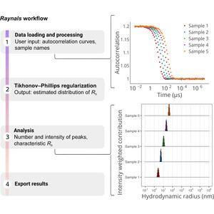 Raynals, an online tool for the analysis of dynamic light scattering