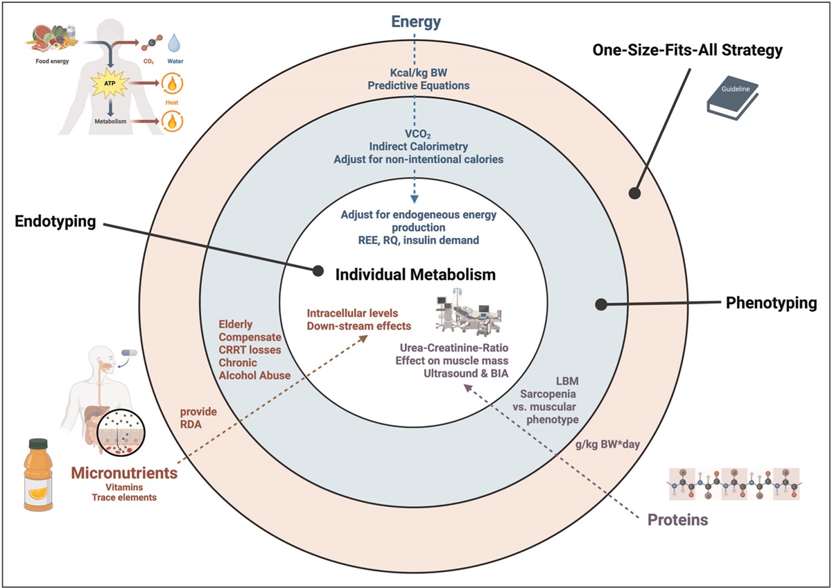 Editorial: Personalized nutrition therapy in critical illness and convalescence: moving beyond one-size-fits-all to phenotyping and endotyping